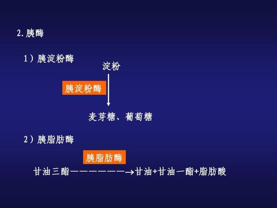 小肠内消化PPT课件_第5页