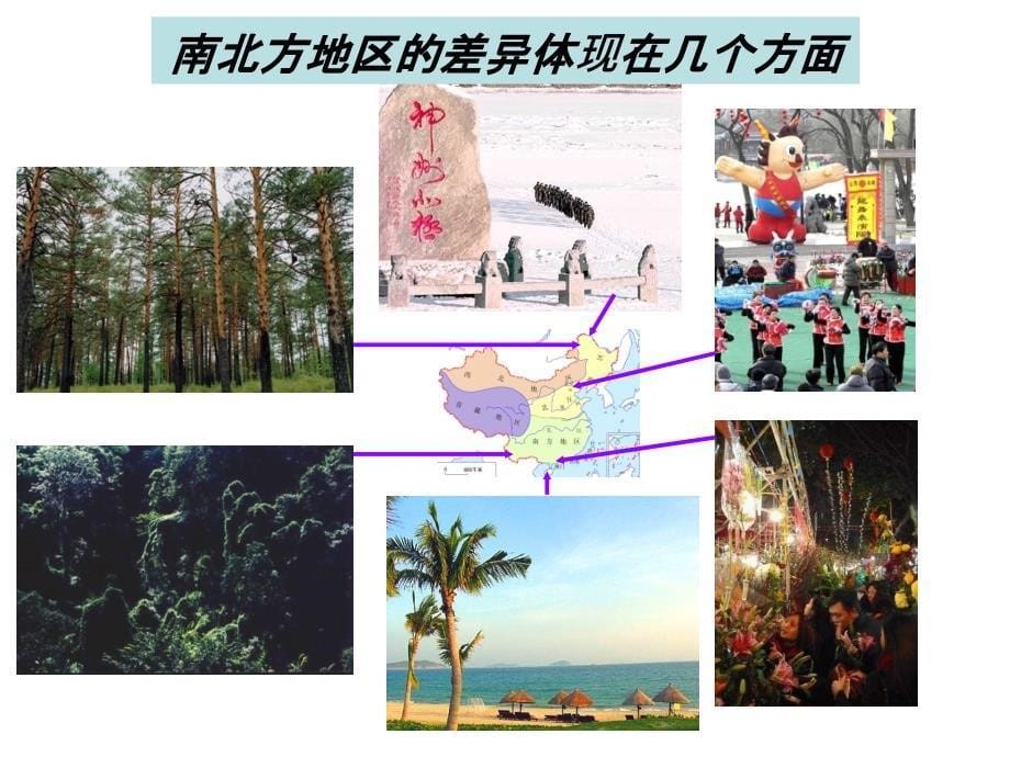 北方地区和南方地区_第5页