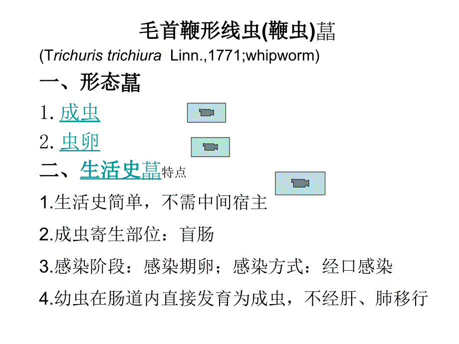 寄生虫课件鞭、蛲虫_第1页