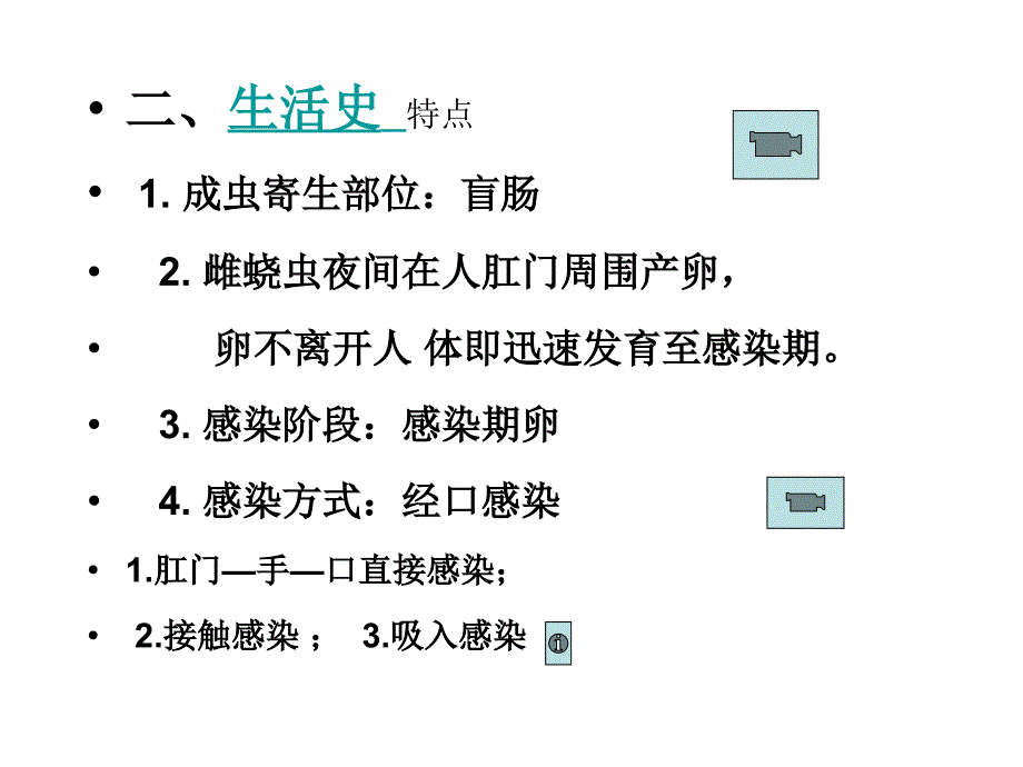 寄生虫课件鞭、蛲虫_第4页