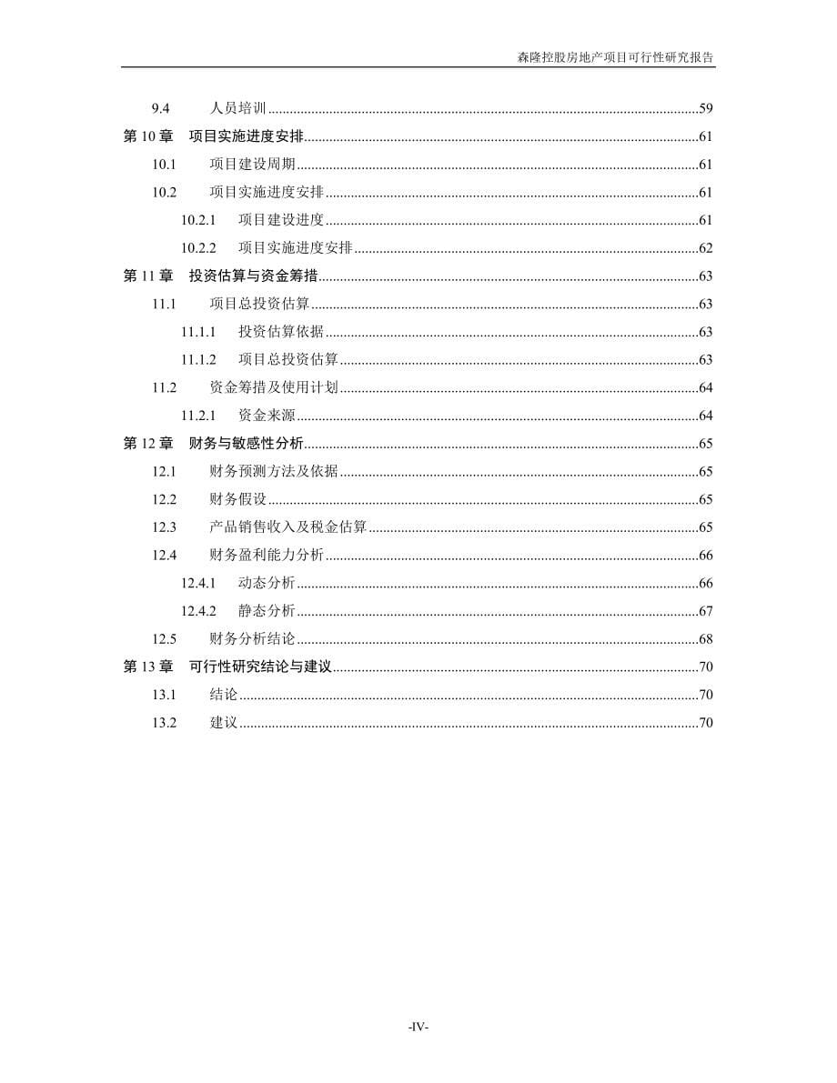 森隆控股房地产项目谋划建议书.doc_第5页