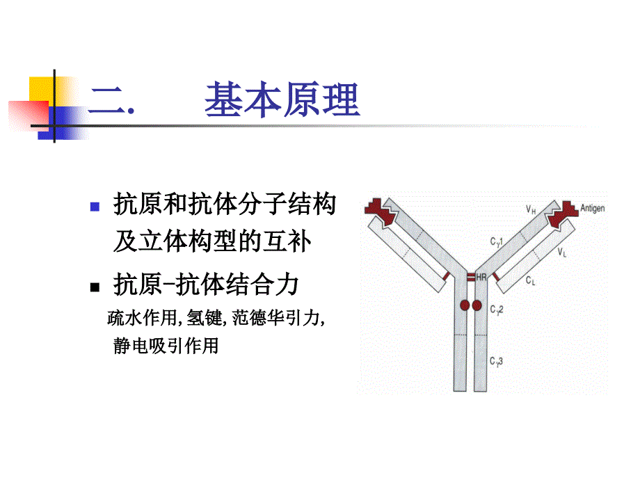 医学免疫学实验课件：抗原抗体反应实验_第4页