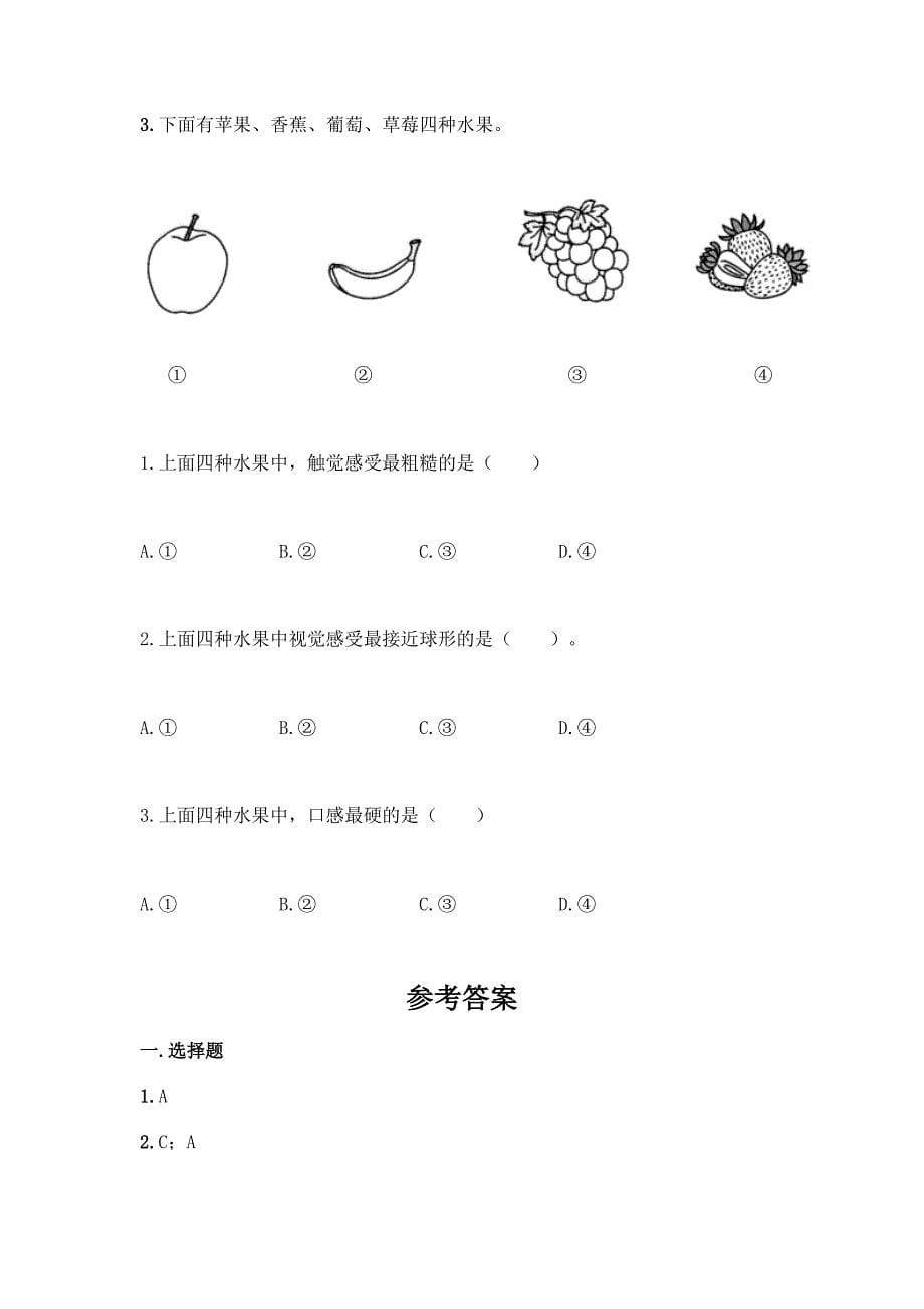 最新教科版二年级下册科学期末测试题含完整答案【历年真题】.docx_第5页