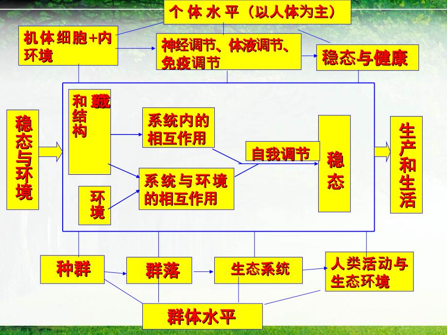 高三查缺补漏复习课_第2页