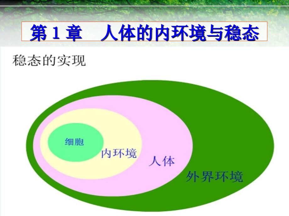 高三查缺补漏复习课_第3页