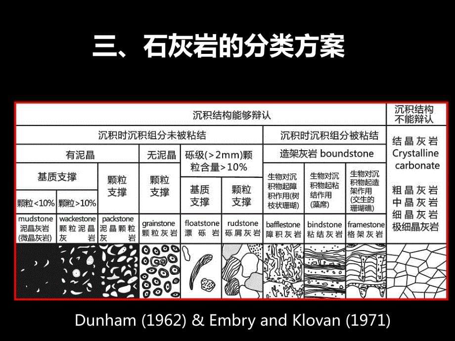 实习5鲕粒灰岩_第5页