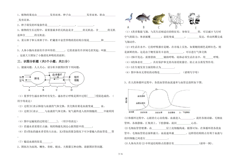 2023年冀教版七年级生物上册期末测试卷(真题).doc_第3页