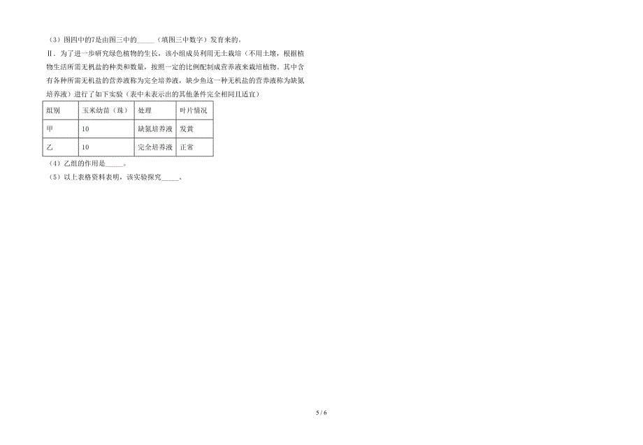 2023年冀教版七年级生物上册期末测试卷(真题).doc_第5页