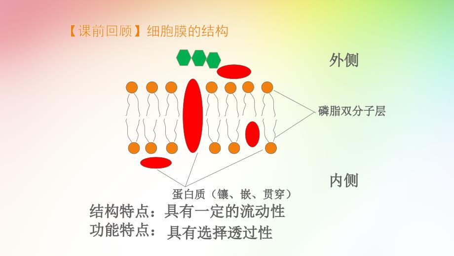 物质跨膜运输的方式ppt课件_第1页