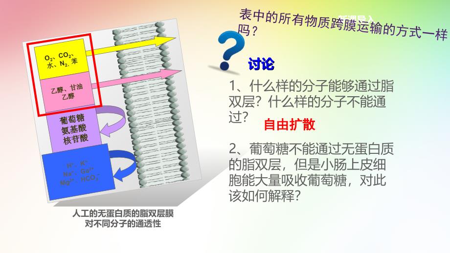 物质跨膜运输的方式ppt课件_第2页