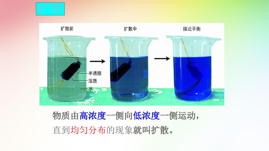 物质跨膜运输的方式ppt课件_第3页