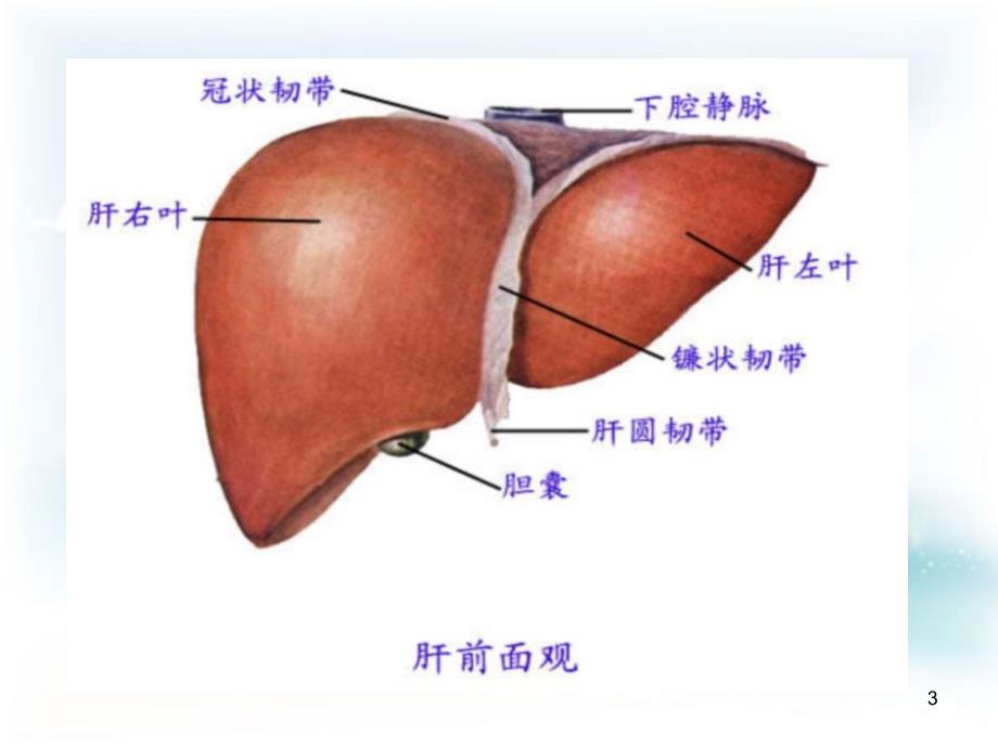 手术室护理查房ppt课件.ppt_第3页