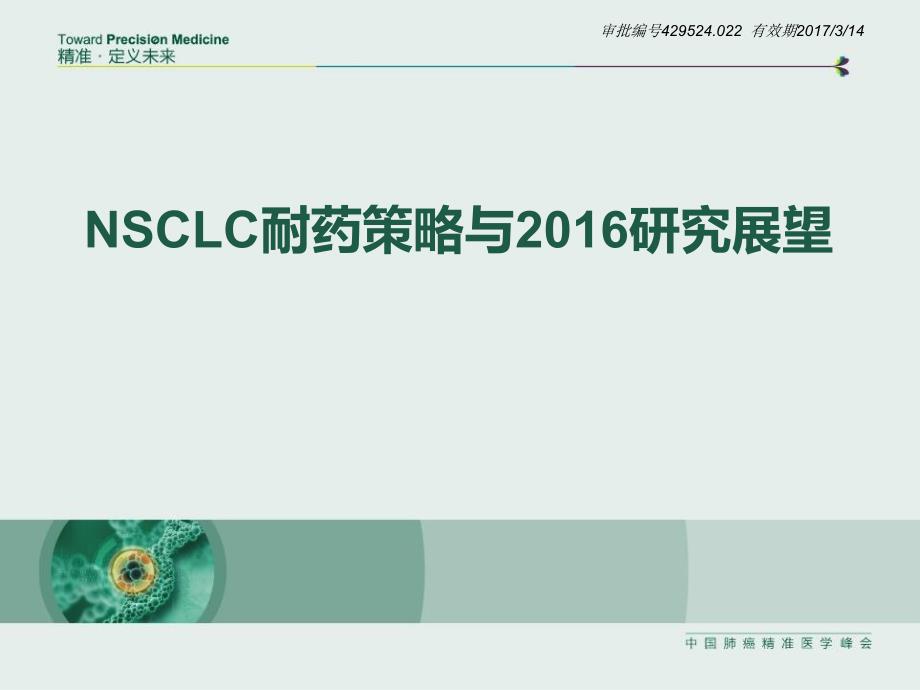 NSCLC耐药策略与研究展望2016_第1页