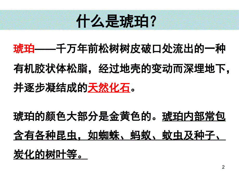 含有昆虫的天然琥珀天然琥珀课堂PPT_第2页