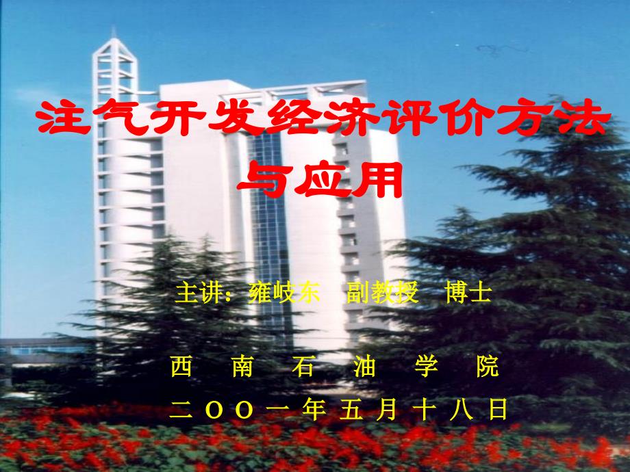 注气开发经济评价PPT课件_第1页