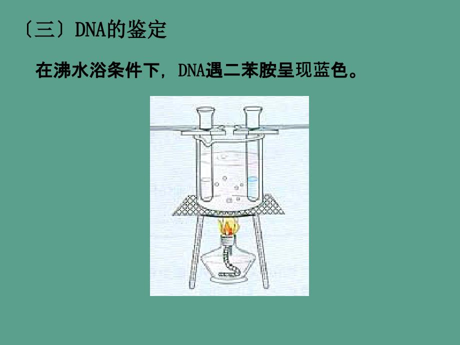 课题DNA的粗提取与鉴定ppt课件_第4页