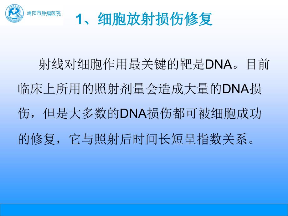 肿瘤放射治疗—剂量分割_第3页