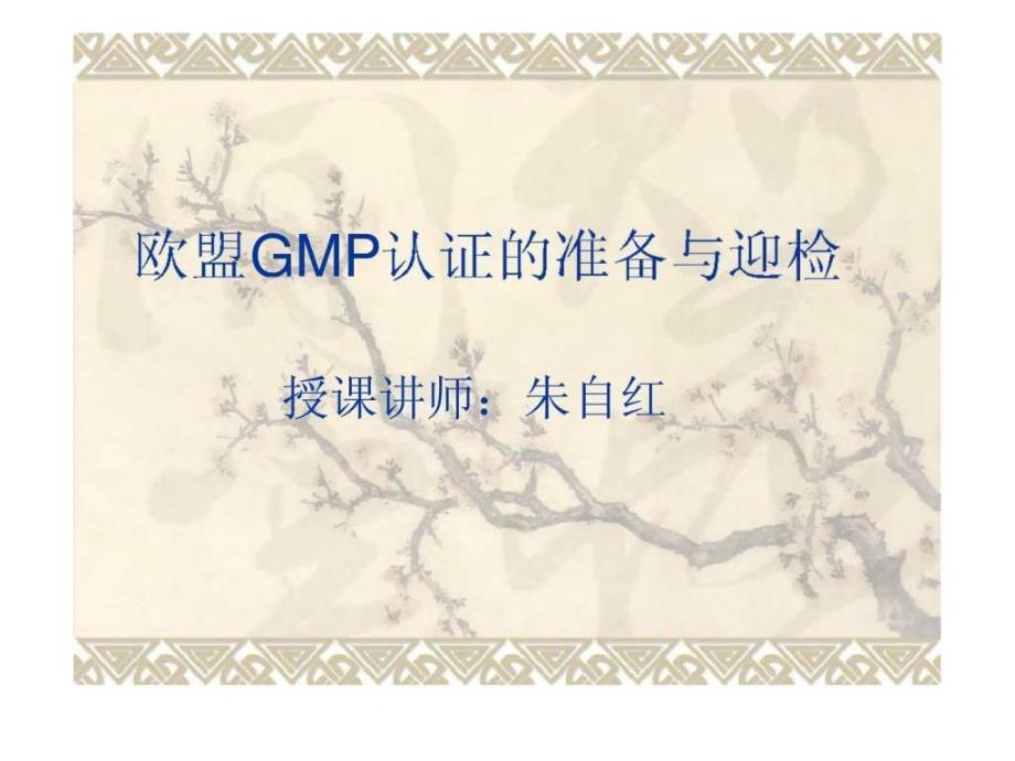 欧盟GMP认证的准备与迎检_第1页