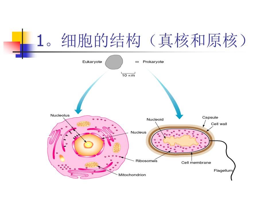 基因组测序流程介绍_第3页