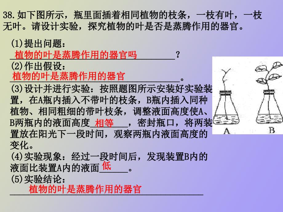 蒸腾呼吸和光合作用_第2页