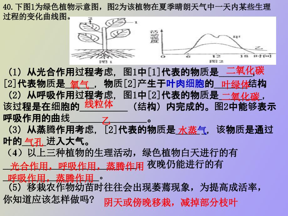 蒸腾呼吸和光合作用_第4页