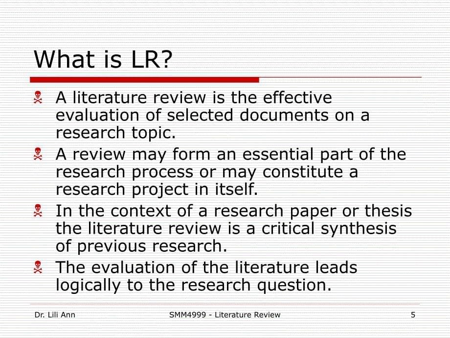 LITERATURE-REVIEW文献综述.ppt_第5页