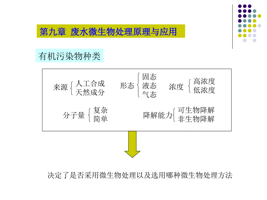 废水微生物处理原理与应用_第2页