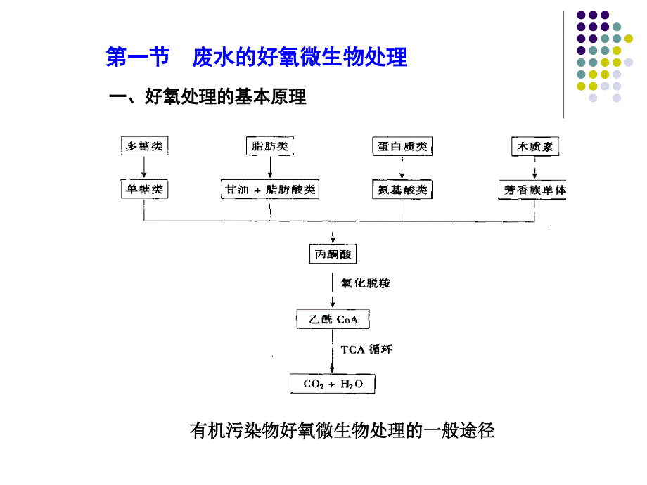 废水微生物处理原理与应用_第4页