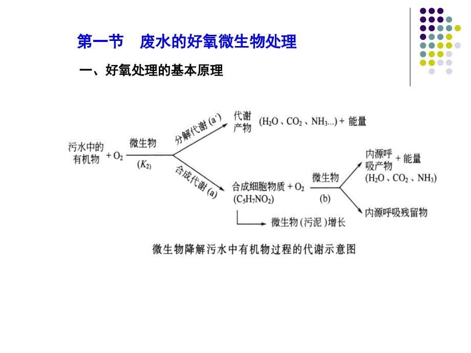 废水微生物处理原理与应用_第5页