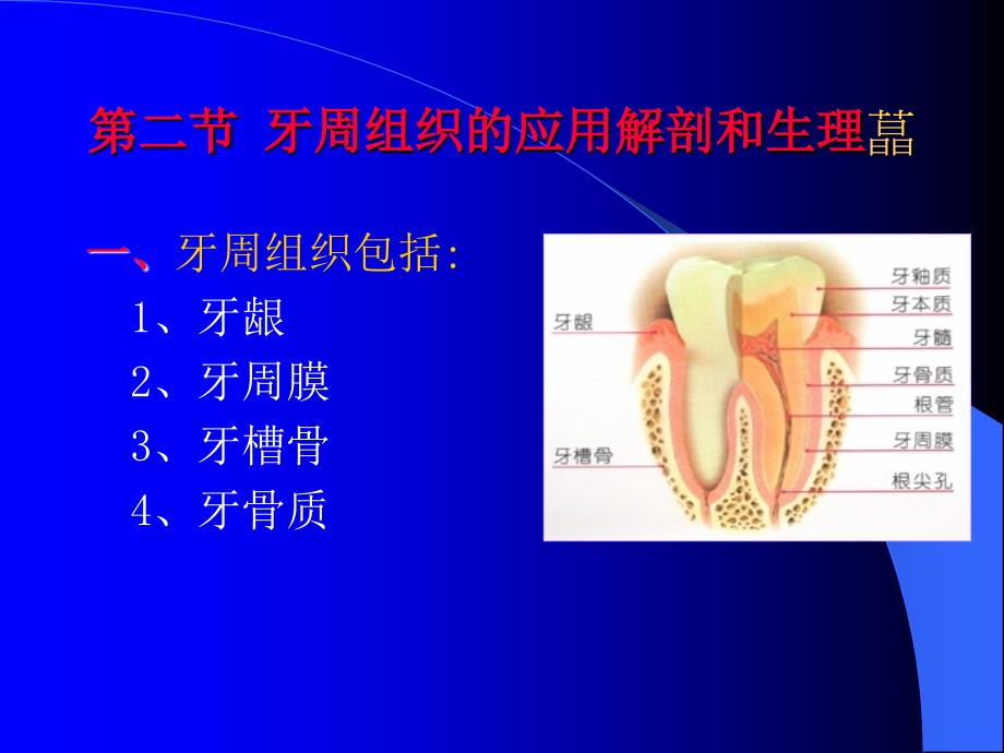 卫生教学三基培训牙周组织疾病_第2页