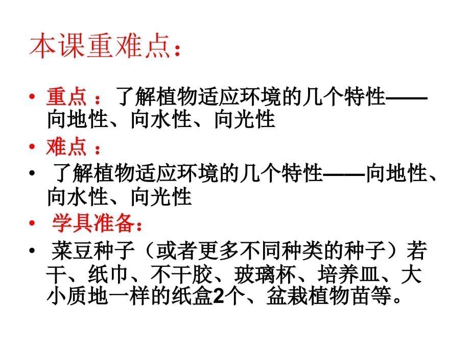 六年级上册科学课件1.1一棵顽强的小树湘教版共26张PPT_第5页