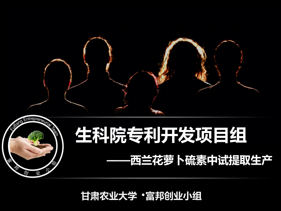 生科院专利开发项目组最终结果2_第1页