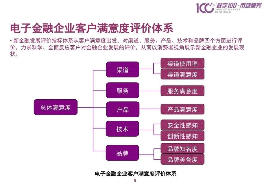 中国电子金融客户满意的研究的报告_第5页