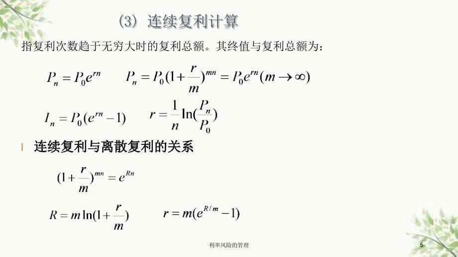 利率风险的管理课件_第5页