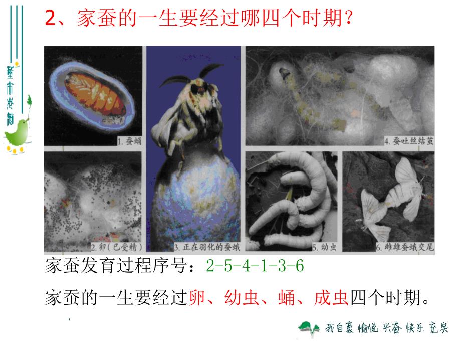 第二节昆虫的生殖和发育精品教育_第4页