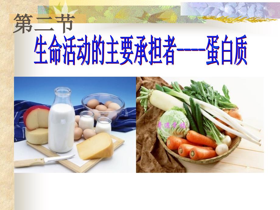 22生命活动的承担者——蛋白质_第1页