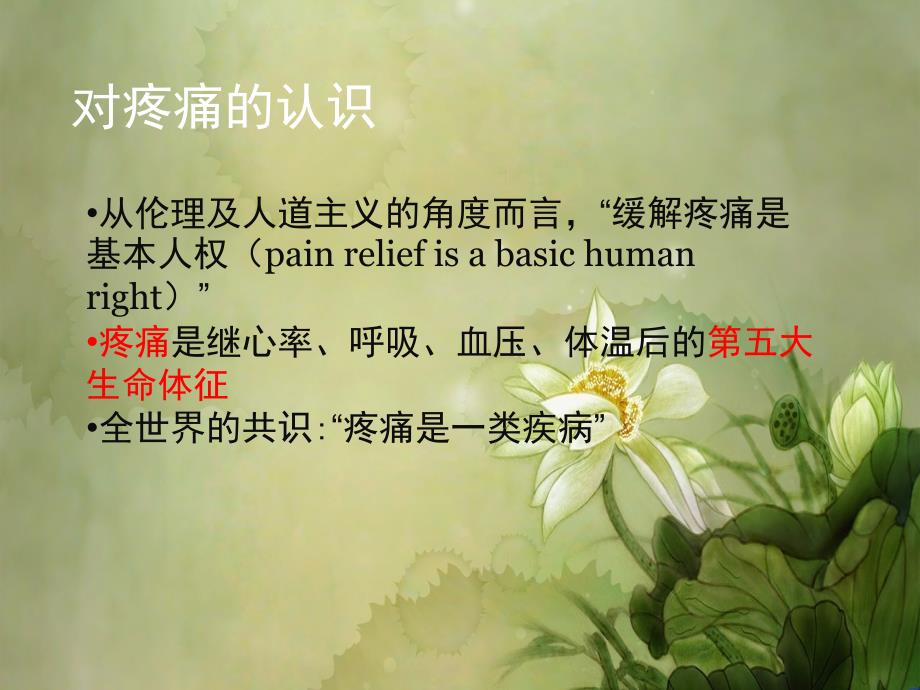 癌痛诊疗规范.ppt课件_第2页