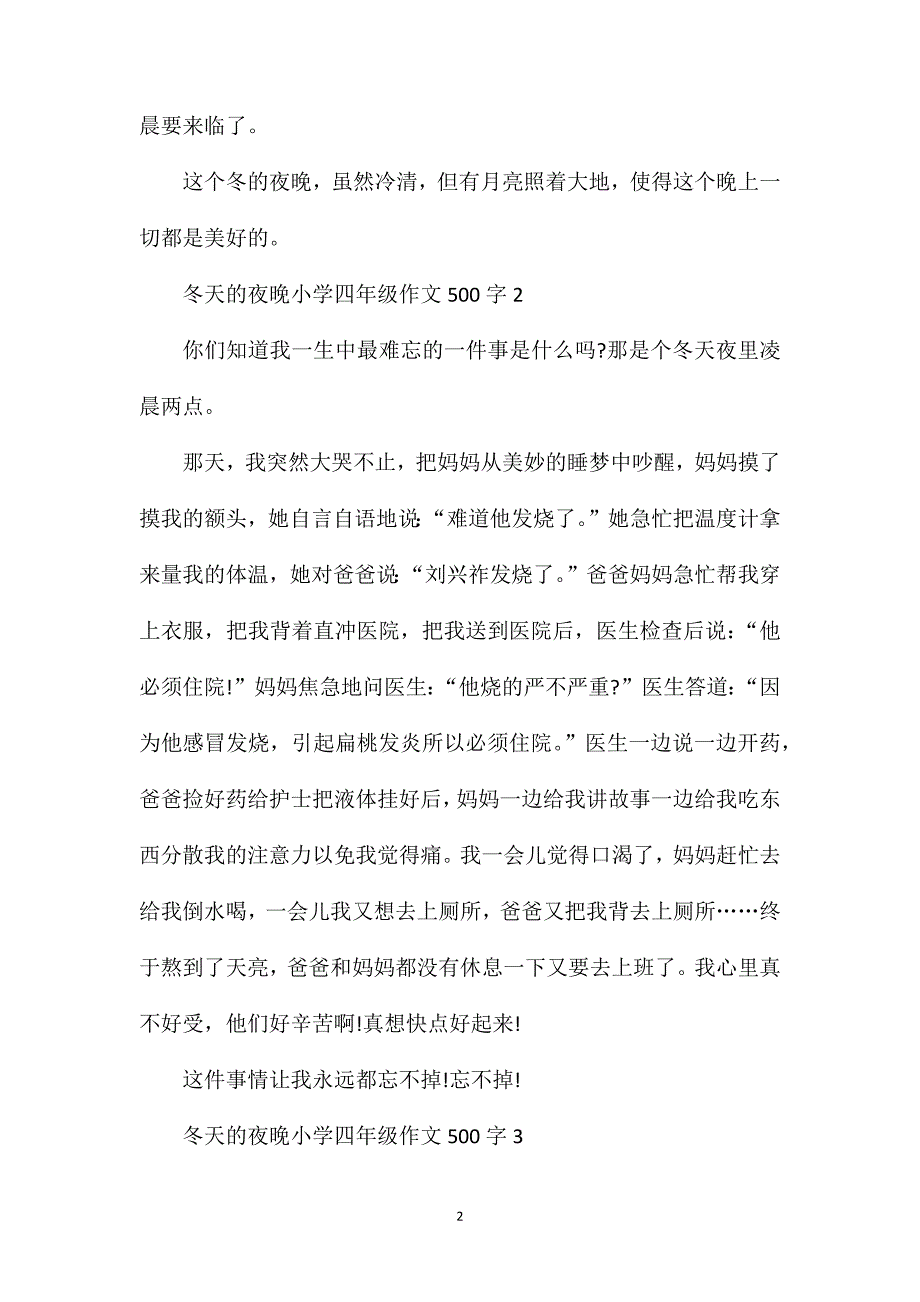 冬天的夜晚小学四年级话题作文500字范文.doc_第2页