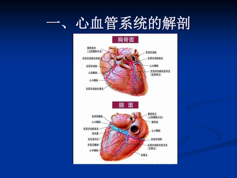 心脑系统疾病_第3页