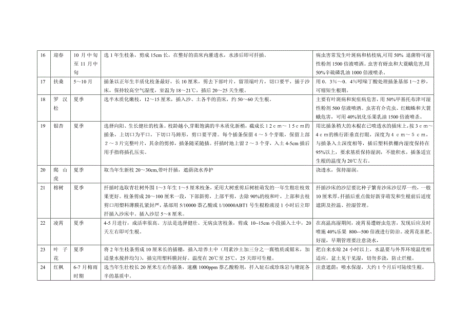 夏季扦插植物.doc_第3页