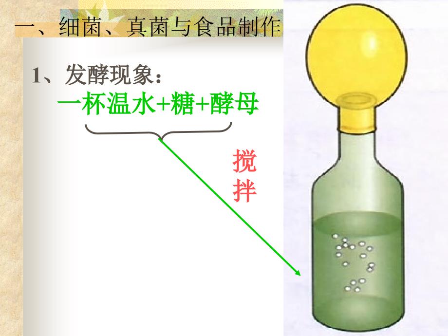 医学课件第二节人类对细菌和真菌的利用_第2页