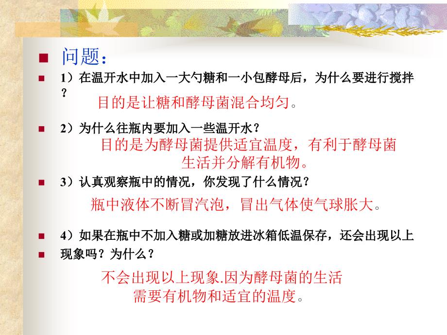 医学课件第二节人类对细菌和真菌的利用_第3页