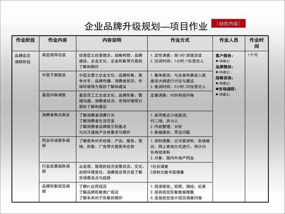 品牌建设规划流程_第5页