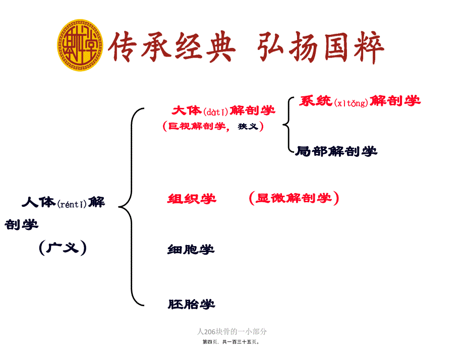 人206块骨的一小部分课件_第4页