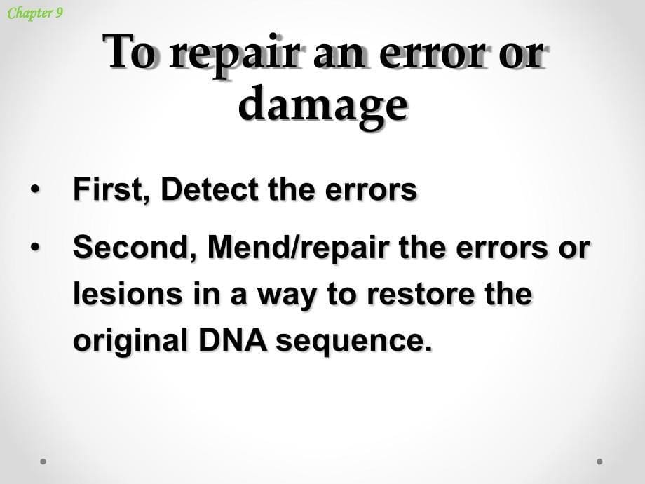 分子生物学课件：ch9 The Mutability and Repair of DNA_第5页