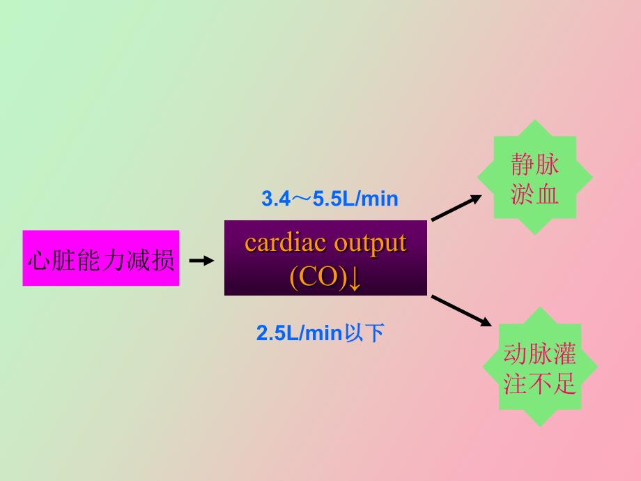 心力衰竭的临床用药_第3页