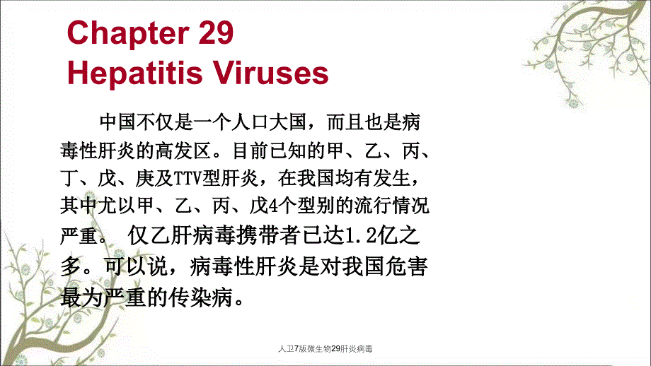 人卫7版微生物29肝炎病毒课件_第1页