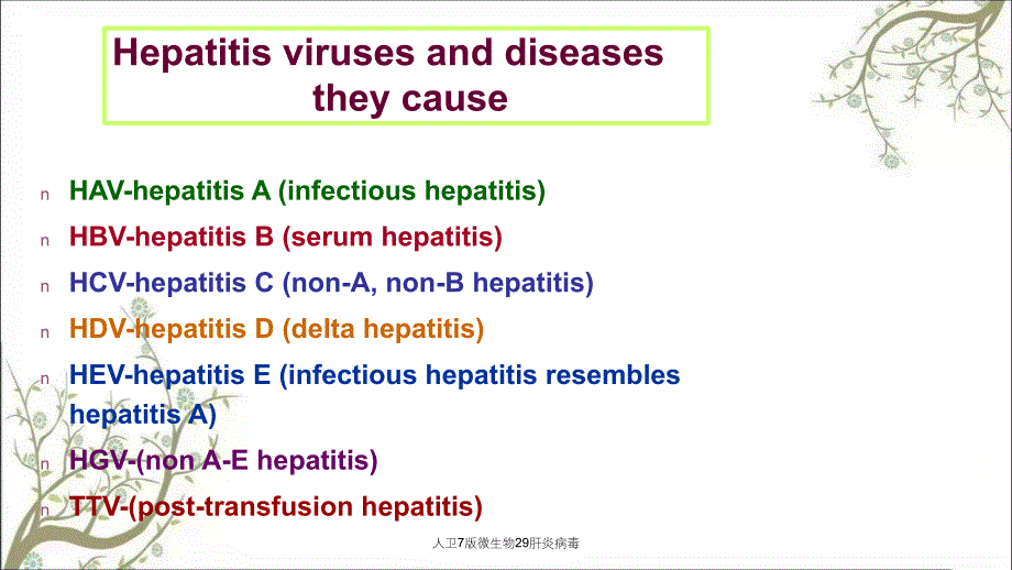 人卫7版微生物29肝炎病毒课件_第2页