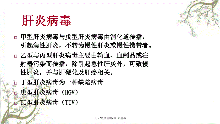 人卫7版微生物29肝炎病毒课件_第3页