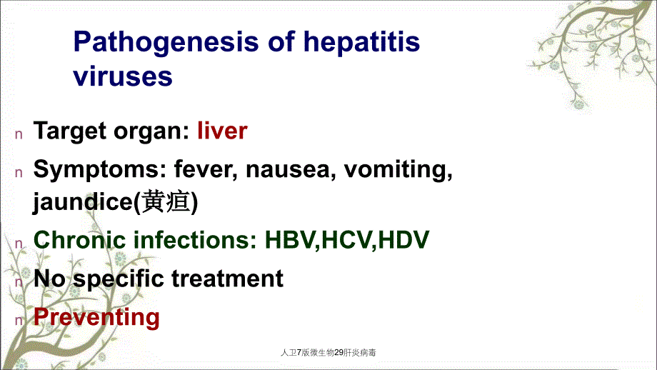 人卫7版微生物29肝炎病毒课件_第4页